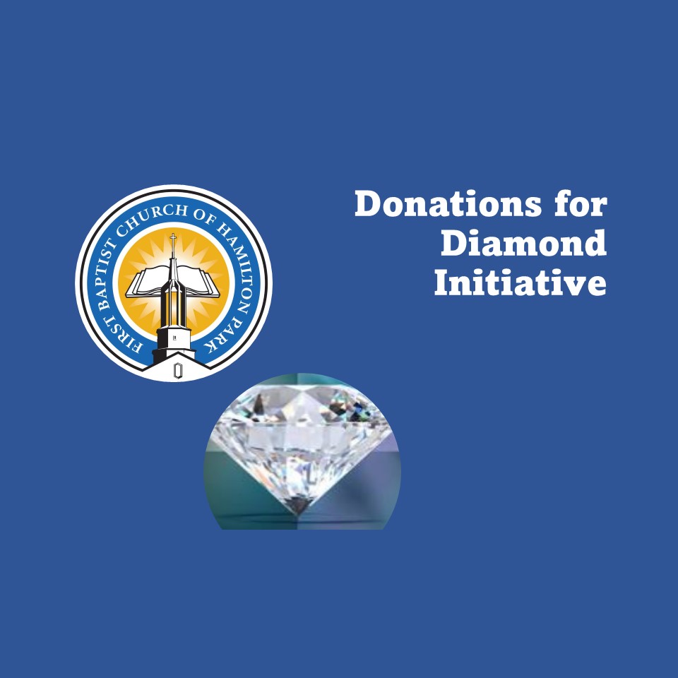 Donations for Diamond Initiative 2